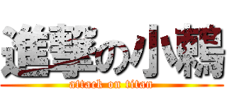 進撃の小鶇 (attack on titan)