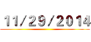 １１／２９／２０１４ ()