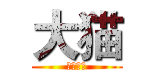 大猫 (澄怀观道)