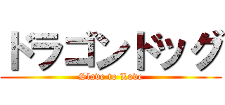ドラゴンドッグ (Slave to Love)
