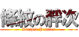 條紋の胖次 (Striped Panties)