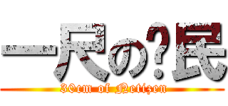 一尺の鄉民 ( 30cm of Netizen)