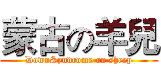 蒙古の羊兒 (DownSyndrome on sheep)