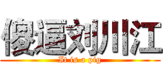 傻逼刘川江 (It is a pig)