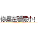 你是在看殺小！ ()