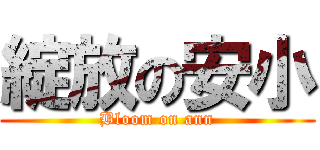 綻放の安小 (Bloom on ann)
