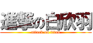 進撃の白欣羽 (attack on titan)