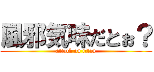 風邪気味だとぉ？ (attack on titan)