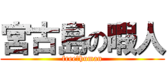 宮古島の暇人 (free　human)