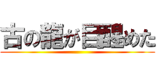 古の龍が目醒めた ()