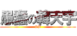 愚蠢の韓天宇 (SB)