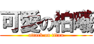 可愛の柏曦 (attack on titan)