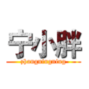 宁小胖 (zhangningning)