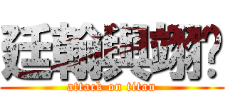 廷翰與翊婷 (attack on titan)