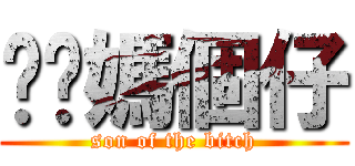 你啊媽個仔 (son of the bitch)