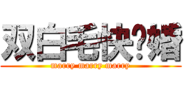 双白毛快结婚 (marry marry marry)