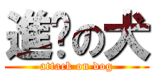 進擊の犬 (attack on dog)