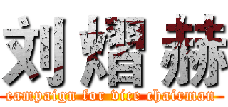 刘 熠 赫 (campaign for vice chairman)