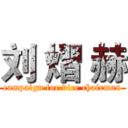 刘 熠 赫 (campaign for vice chairman)