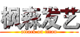 枫森发艺 (attack on titan)