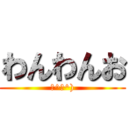 わんわんお (（^ω^))