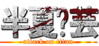 半夏灵芸 (attack on titan)