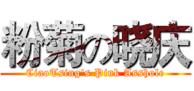 粉菊の晓庆 (CiaoTsing's Pink Asshole)