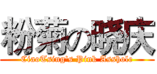 粉菊の晓庆 (CiaoTsing's Pink Asshole)