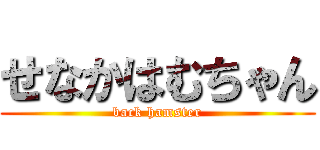 せなかはむちゃん (back hamster)