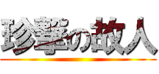 珍撃の故人 ()