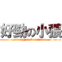 好勁の小張 (strong at Constance)