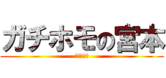 ガチホモの宮本 (ノンケ狩り)