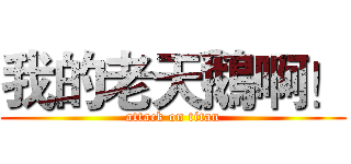 我的老天鵝啊！ (attack on titan)