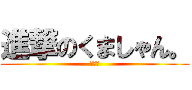 進撃のくましゃん。 (わーい)