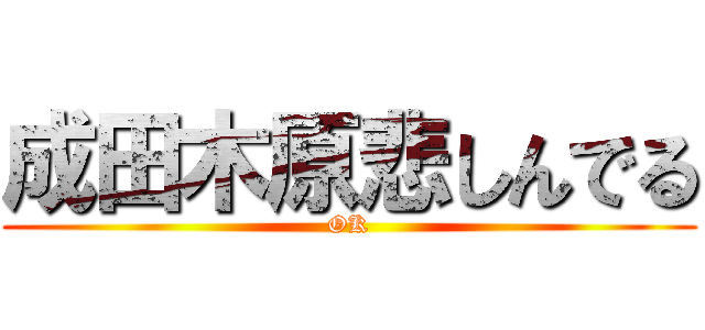 成田木原悲しんでる (OK)