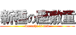 新種の座敷童 (warashi is new)