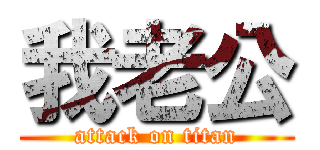 我老公 (attack on titan)