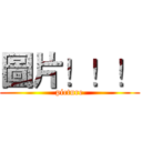 圖片！！！ (picture)