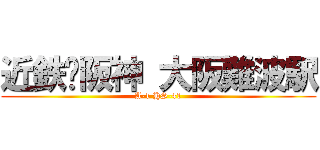 近鉄•阪神 大阪難波駅 (A-1 HS-41)