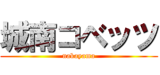 城南コベッツ (nakayama)