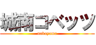 城南コベッツ (nakayama)