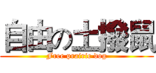 自由の土撥鼠 (Free prairie dog)