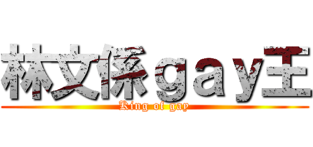 林文係ｇａｙ王 (King of gay)