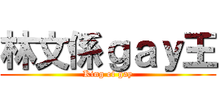 林文係ｇａｙ王 (King of gay)