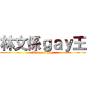 林文係ｇａｙ王 (King of gay)