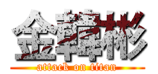 金韓彬 (attack on titan)