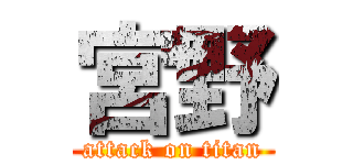 宮野 (attack on titan)
