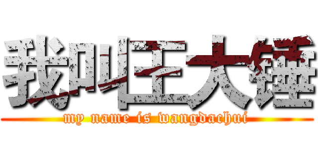 我叫王大锤 (my name is wangdachui)