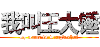 我叫王大锤 (my name is wangdachui)