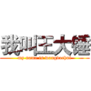 我叫王大锤 (my name is wangdachui)